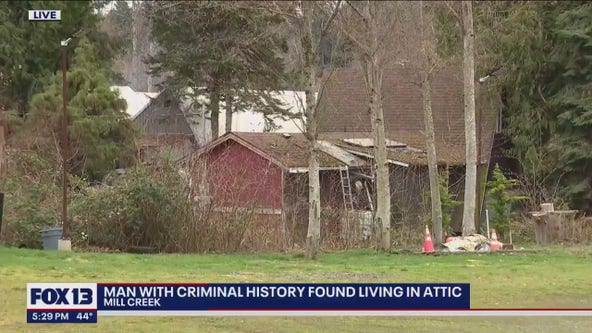 Man with criminal history found living in stranger's attic