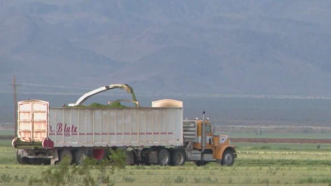 Hobbs ends AZ water lease for Saudi-based company