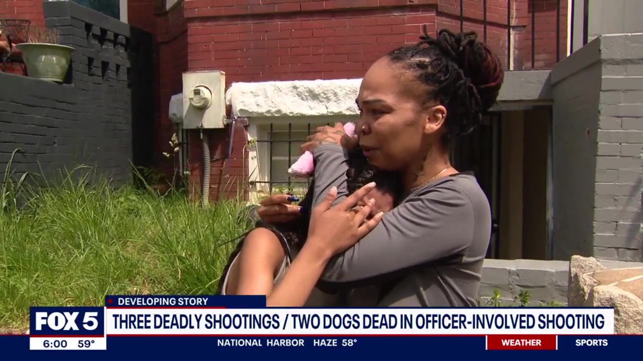 2 dogs shot, killed by MPD officer in Northwest DC neighborhood