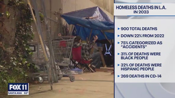 900 homeless deaths reported in LA during 2023