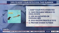 Tips to keep your pets cool this summer