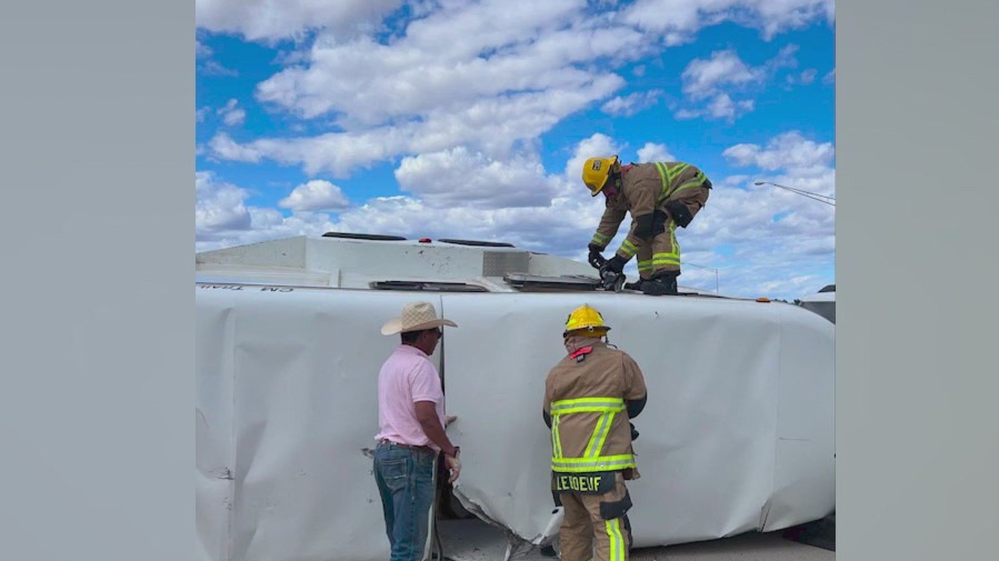 Surprise FD rescues horses from crashed trailer