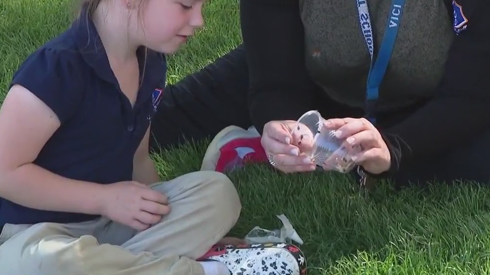 Students release thousands of lady bugs for Earth Day