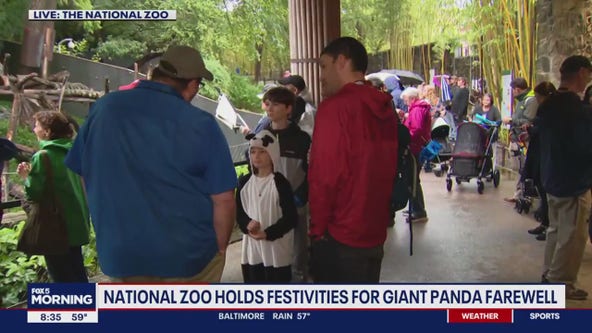 Panda Palooza kicks off at National Zoo
