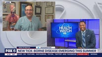 New tick-borne disease emerging this summer