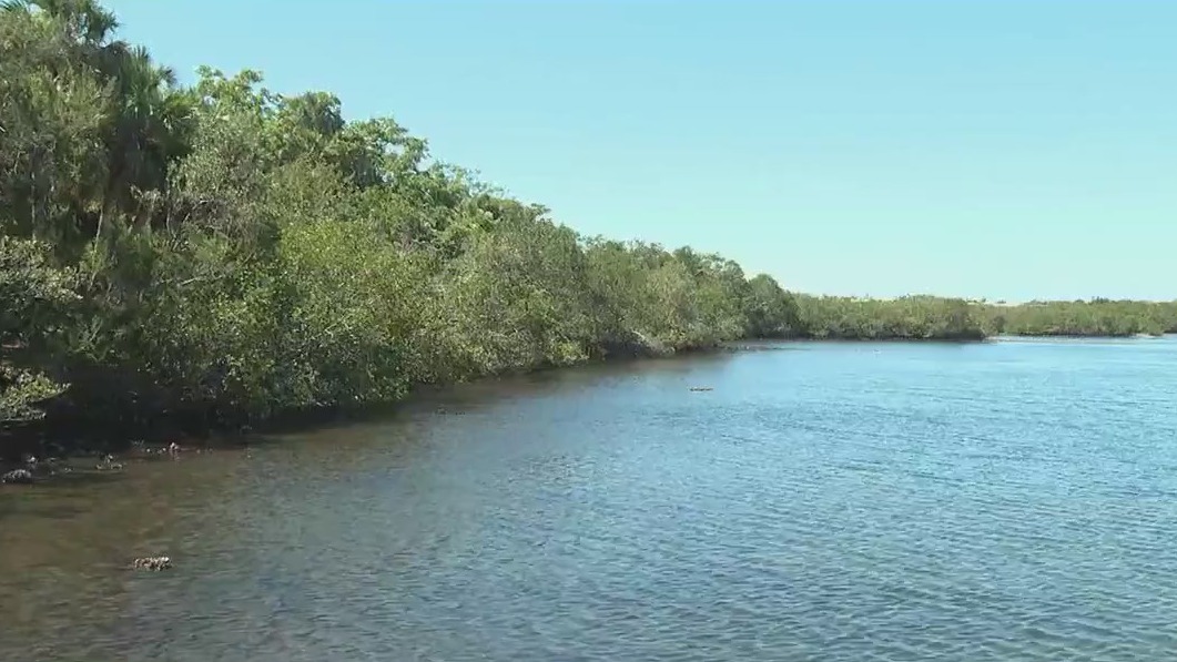 Manatee County could lessen protections for water