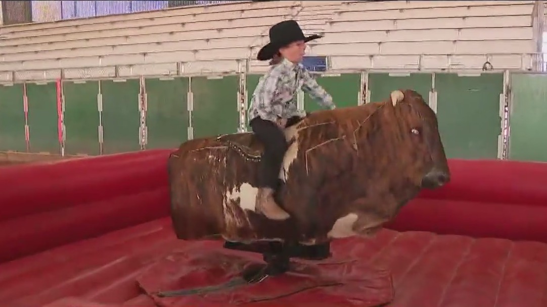 Best bull riders in the US gather at Queen Creek for Xtreme Bulls event