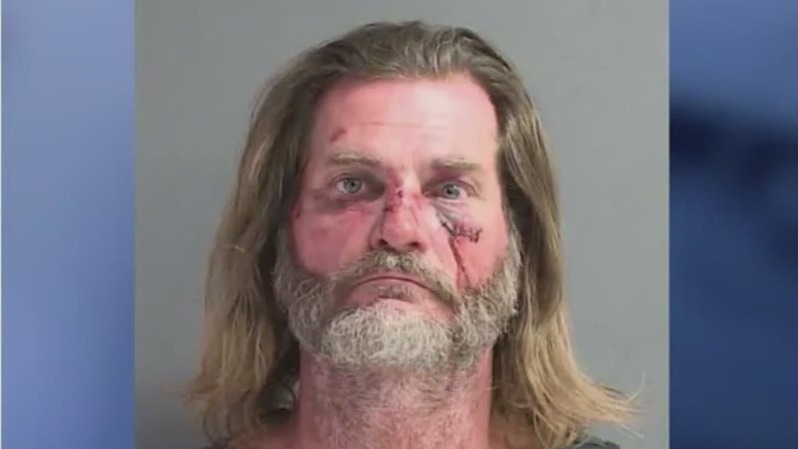 Man accused of snatching husky in Daytona Beach