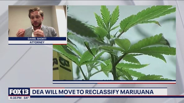 DEA moves to reclassify marijuana