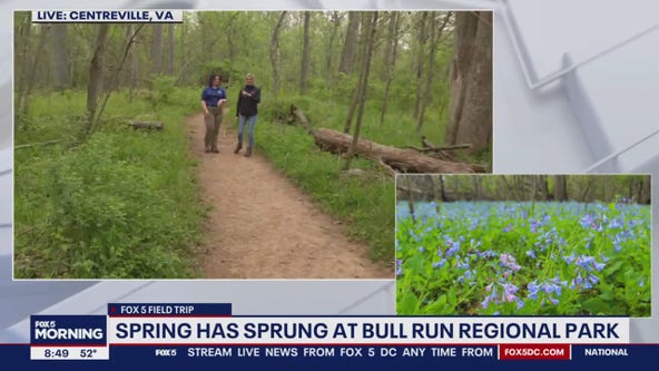 Spring has sprung at Bull Run Regional Park