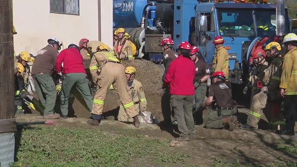 LAFD working to rescue horse