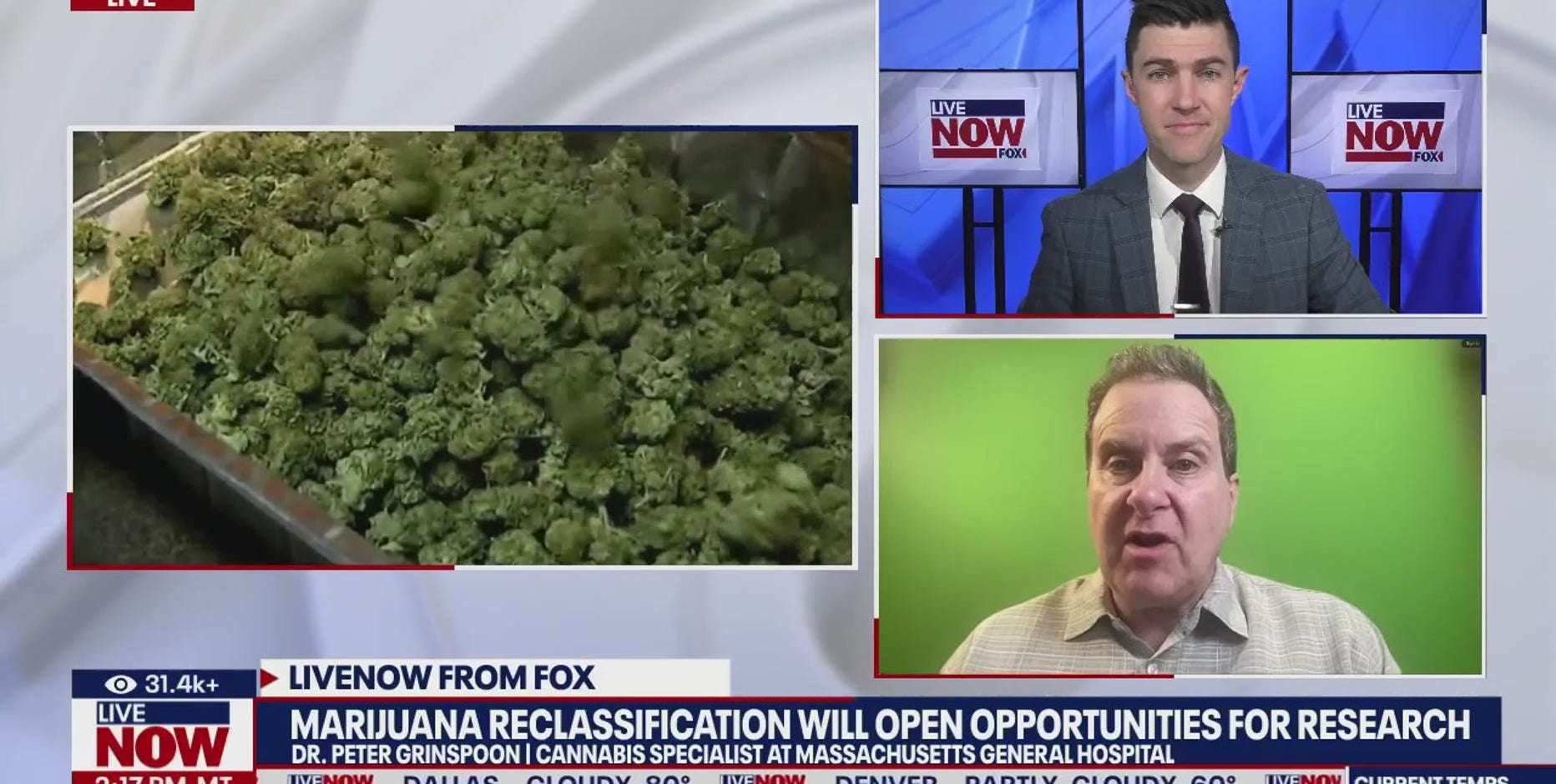 Trump considers reclassifying marijuana as less dangerous drug: report