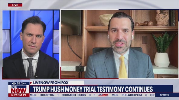 Trump hush money trial continues