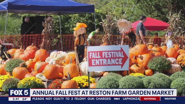 Visiting Fall Fest at Reston Farm Garden Market