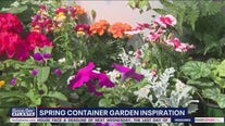 Get some inspiration for your spring container garden