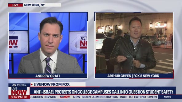 More anti-Israel protests on college campuses