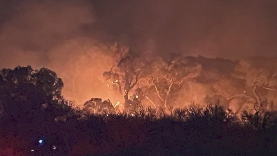 Deadly AZ wildfire blamed on human error
