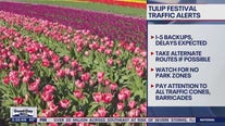 What to know about traffic if you're heading to the Skagit Valley Tulip Festival
