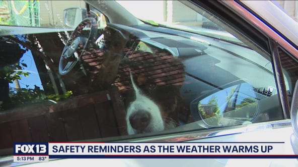 Water and pet safety reminders as we see temps in the 80s