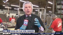 Bob on the Job: Junior's Bakery Outlet