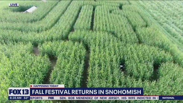 Fall Festival returns in Snohomish: Corn Maze!