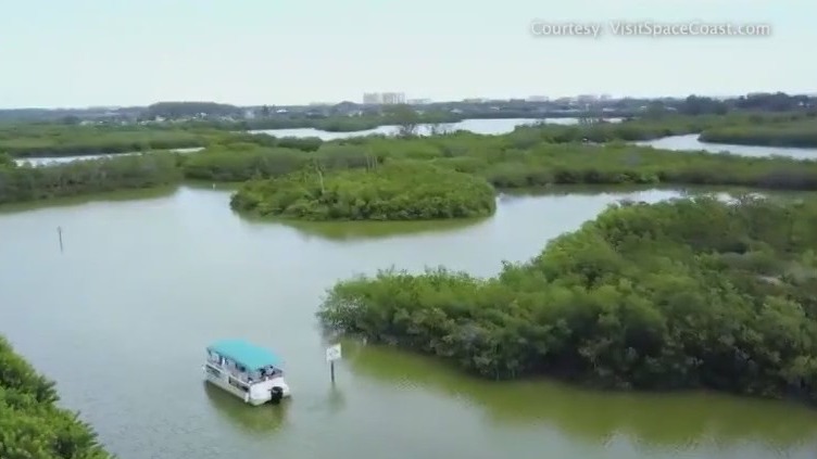 Tour the 'Wildside' in Cocoa Beach