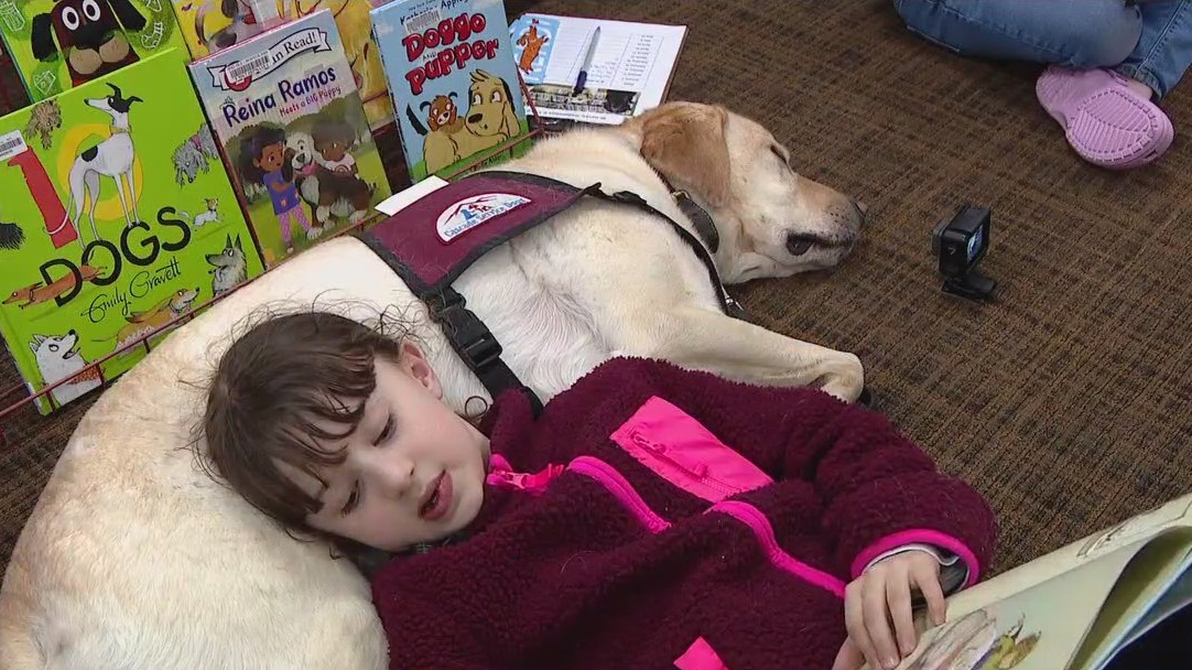 Program helps young readers gain confidence by reading to dogs
