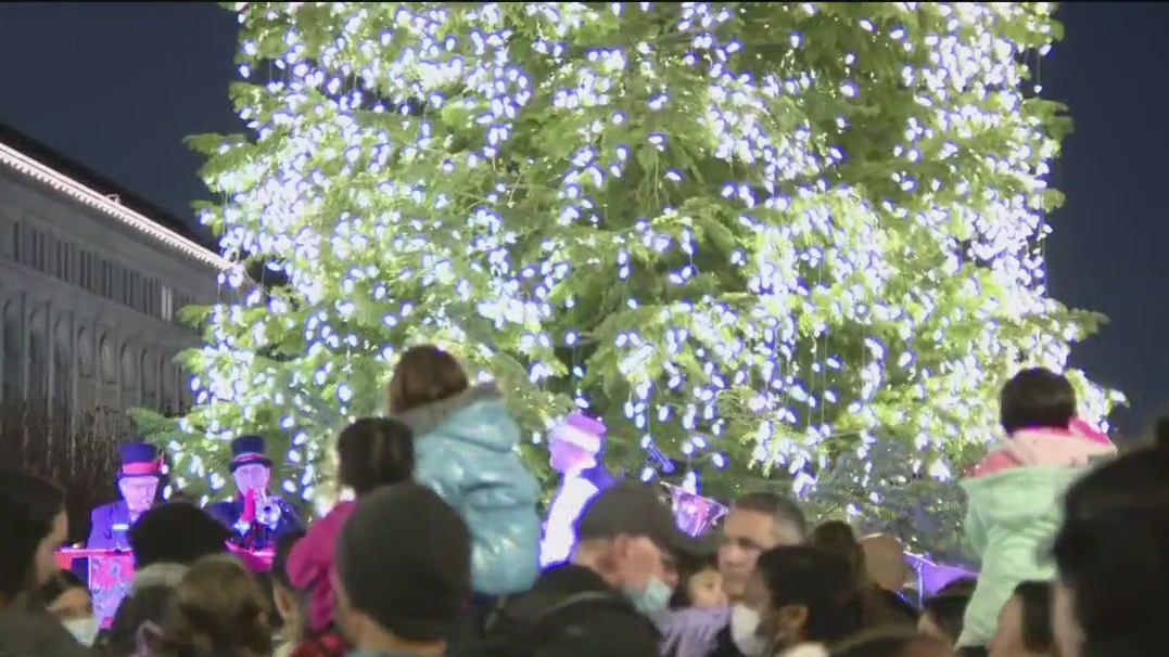 Families flock to San Francisco's Civic Center Plaza for annual tree lighting