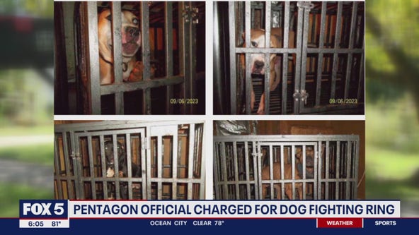 Pentagon official charged for dog fighting ring