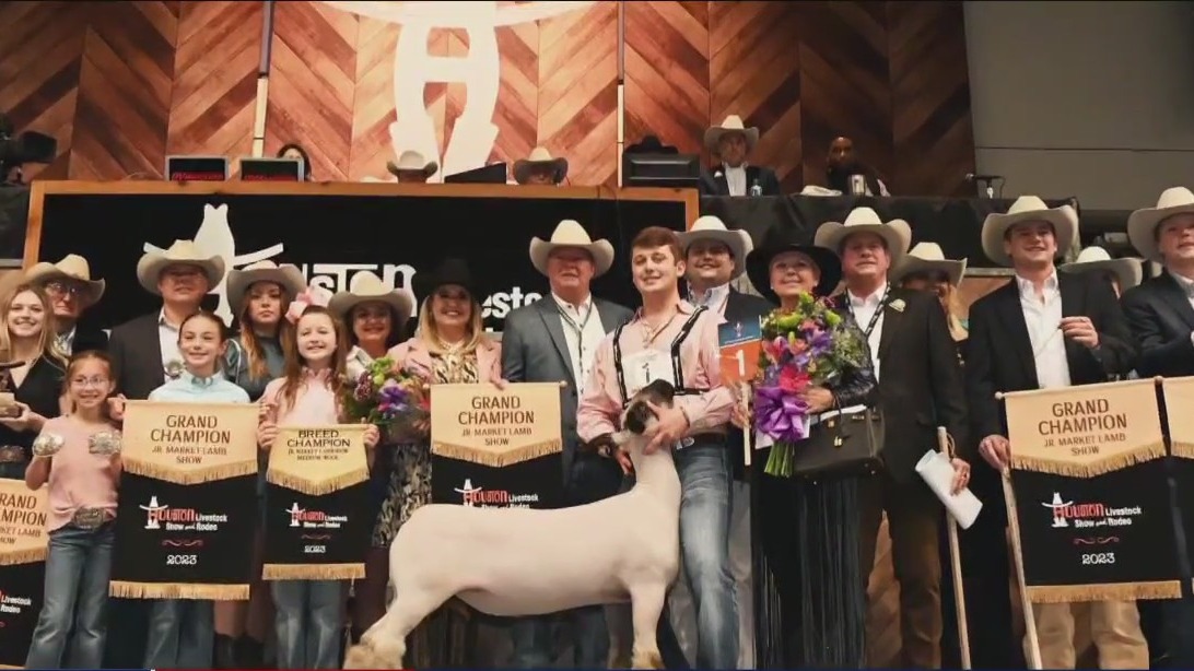 Best of the 2023 Houston Livestock Show and Rodeo