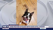 Land Rover stolen with dog still inside