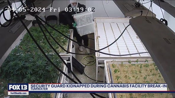 Security guard kidnapped during Tumwater marijuana facility break-in