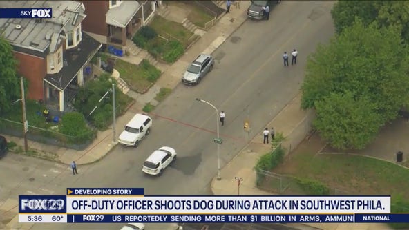 Off-duty officer shoots dogs during attack in Southwest Philadelphia