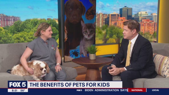 The benefits of pets for kids