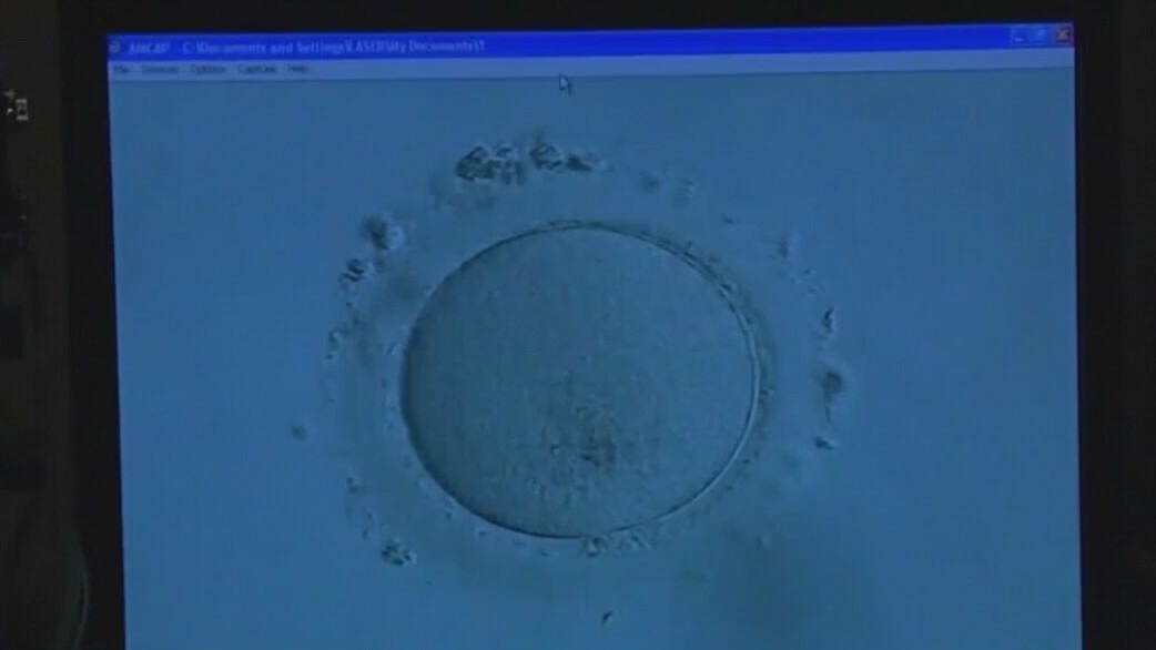 Alabama Supreme Court rules frozen embryos can be considered children