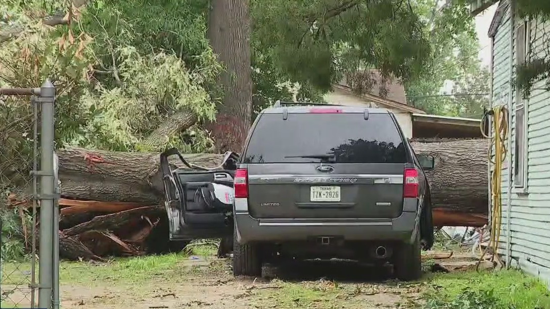 Fallen tree kills mom of 4 in Houston storm