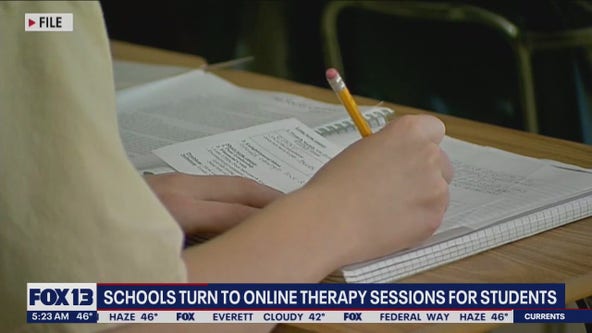 Schools turning to online therapy sessions for students