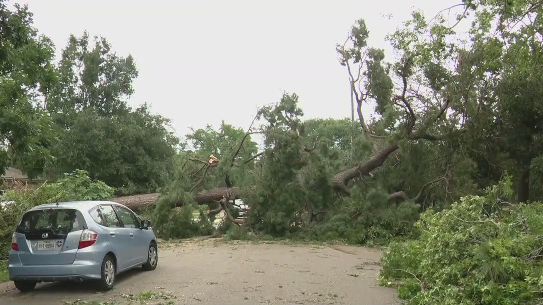Oak Forest community hit hard by storms