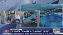 Summer staycation fun at Gaylord Palms