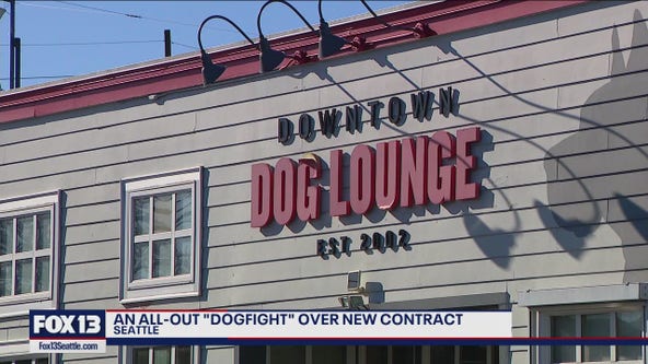 Dog daycare employees fight for better contract