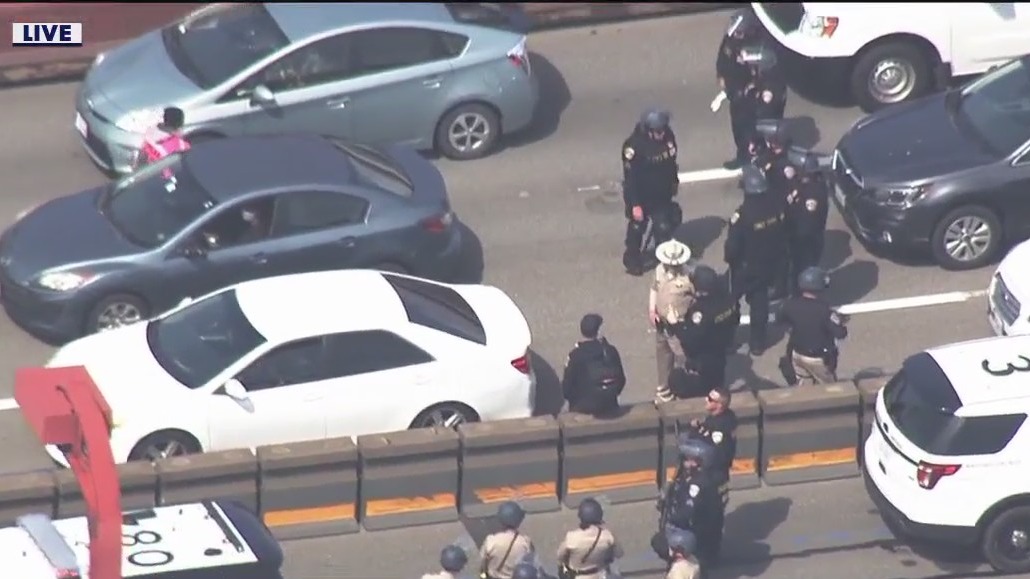 Several protesters detained  as Bay Area highways shut down