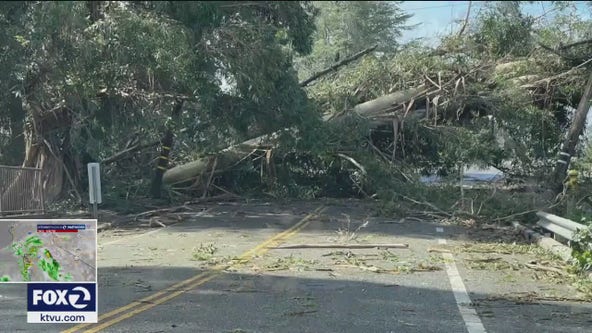 City of Saratoga allocates $800K towards recent storm damage, fallen trees