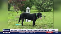 DC police dog dies after medical emergency while on presidential detail