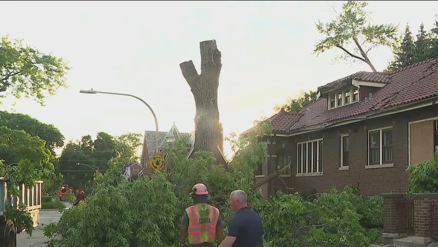 Tree crashes into Beverly home during severe storm; over 30 reports of damage