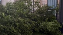 Tree falls near building following severe storms in Houston area