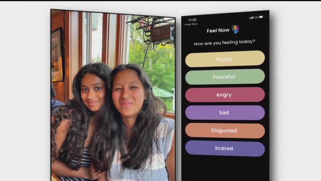 Edina teens launch new app to track emotions