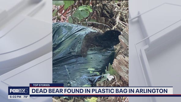 Dead black bear found in plastic bag near Arlington walking trail