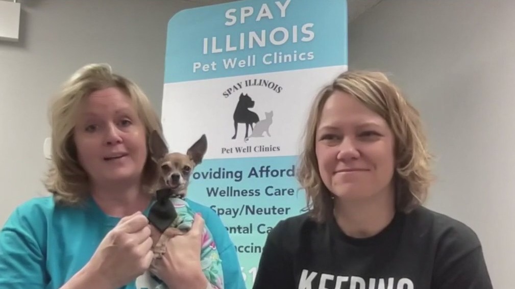 Spay Illinois Pet Well Clinic strives to make vet care accessible