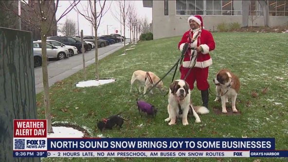 'Scooby Clause' bringing joy to Everett neighbors as snow hits