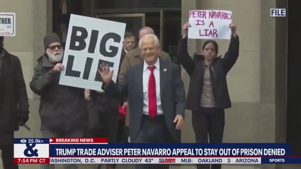 Peter Navarro's bid to stay out of prison rejected